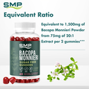 Bacopa Sugar Free Gummies Infographic 101539 001