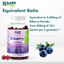 Bilberry Sugar Free Gummies Infographic 100992
