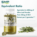 Olive Leaf Sugar Free Gummies Infographic 101538 001