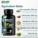 Thyroid Gummies Infographic 100757 002