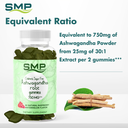 Ashwagandha Childrens Sugar Free Gummies Infographic 101367