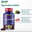 Organic Elderberry Gummies Infographic 101246