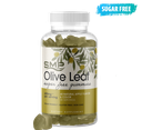 Sugar Free Olive Leaf Gummy 2.0 G