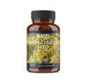 Mimosa Pudica (Seed) Capsules 500 mg ea