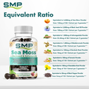 Sea Moss With Blackseed Ashwagandha Infographic 101589