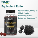Sugar Free Shilajit Gummies Infographic 101490 001