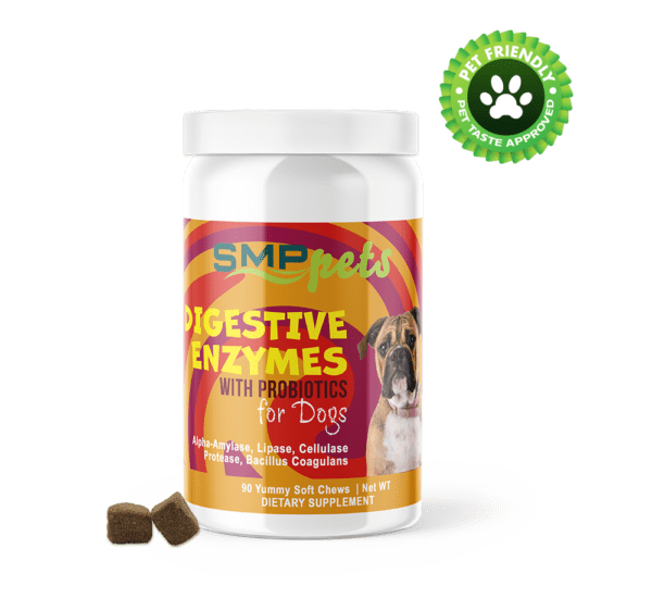 digestive enzymes for dogs w probiotics alpha amylase lipase cellulase protease bacillus coagulans support diet change soft chews in a bag